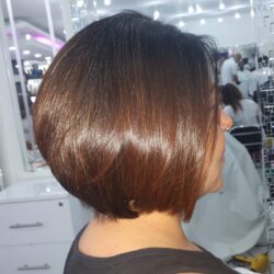 WhatsApp-Image-2026-02-17-at-13.05.11